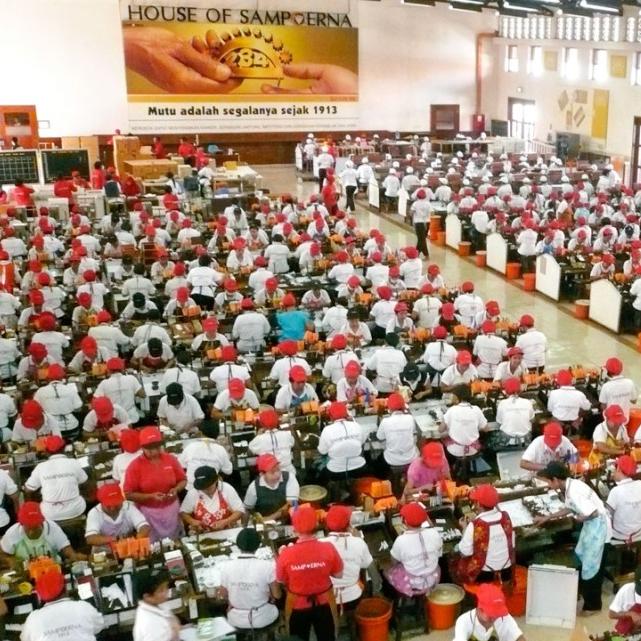 		hundreds of workers wearing red caps bend over long tables, rolling cigarettes
	