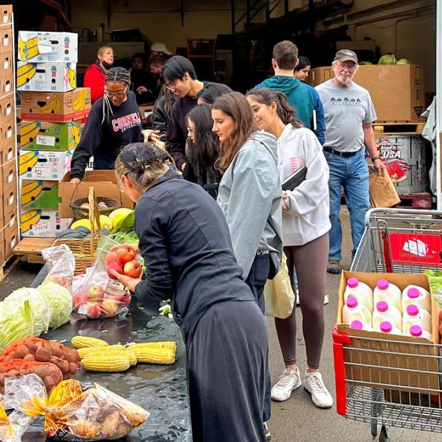 		People choosing food from tables; a shopping cart full of milk and vegetables
	
