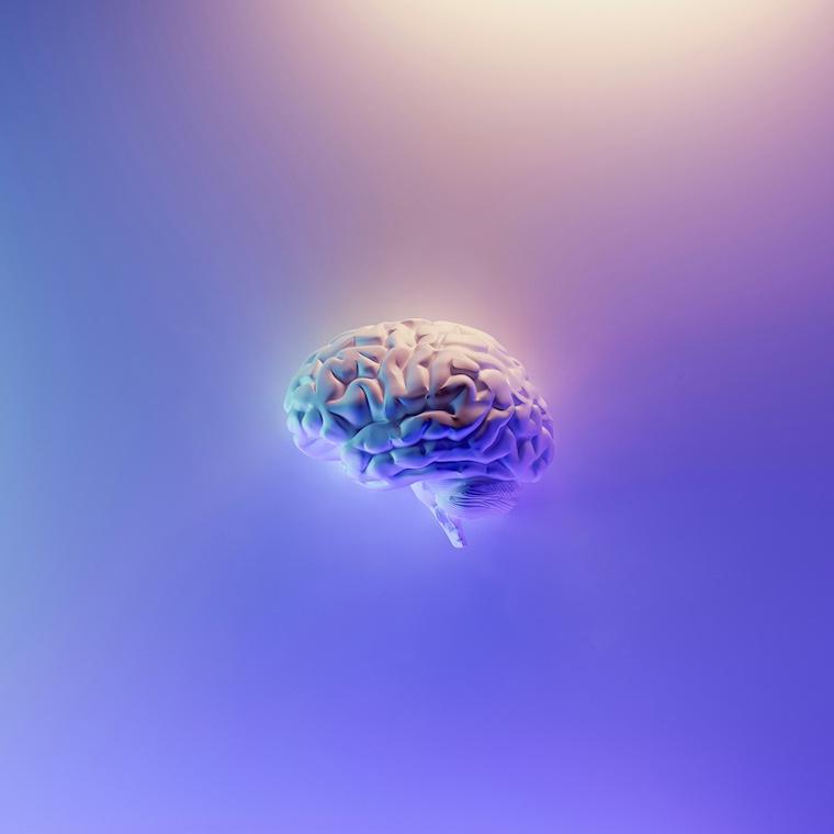 		Illustration of a brain against a purple and blue background
	