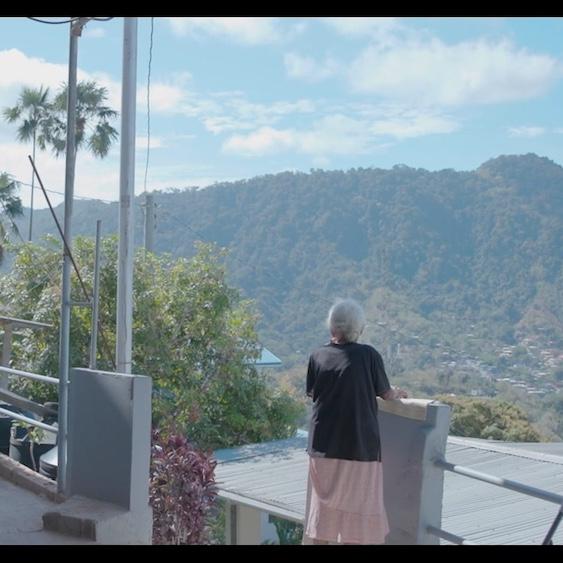 Person standing on a balcony, looking out at a mountain, blue sky and palm trees
