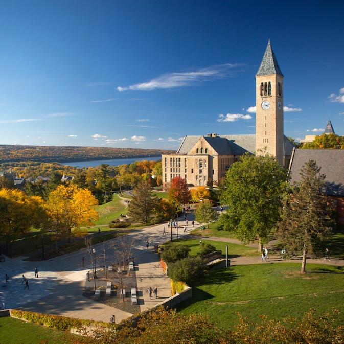 		Blue sky, clock tower, fall foliage on a college campus seen from above
	