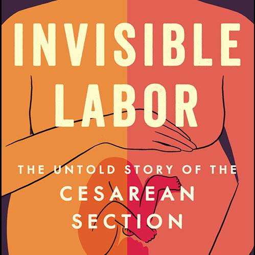 Book cover: Invisible Labor