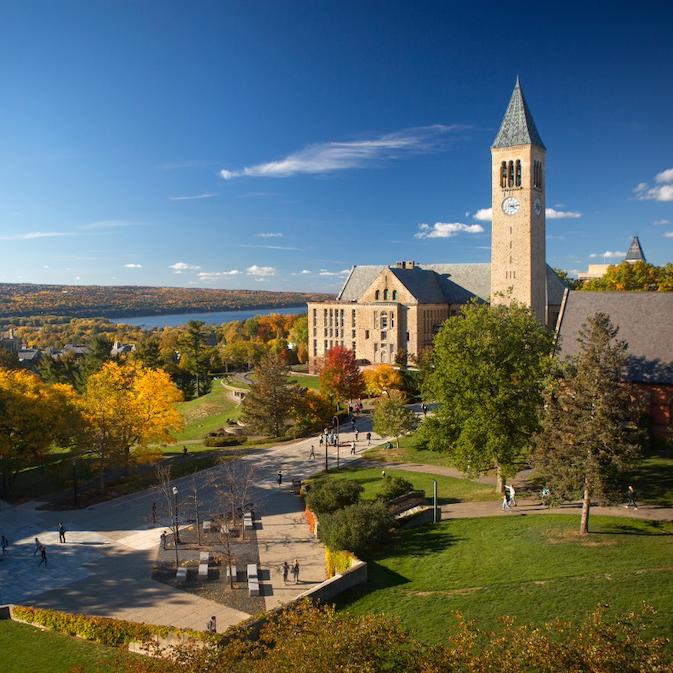 		Blue sky, clock tower, fall foliage on a college campus seen from above
	