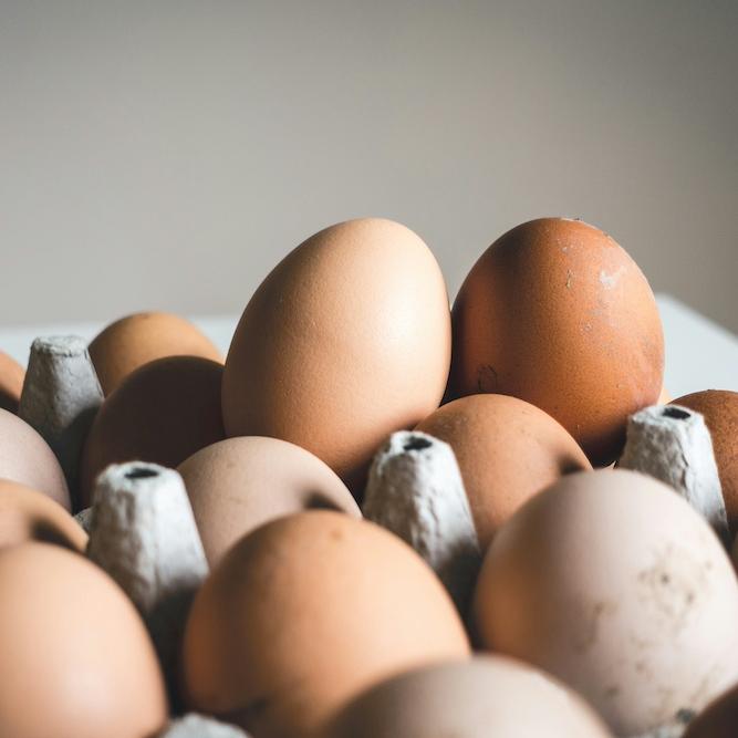 Brown eggs in a cardboard container