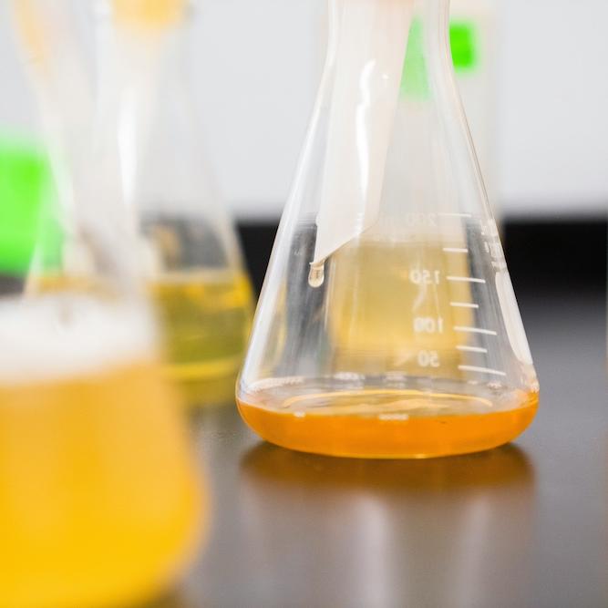 		Tranparent flasks in a chemistry lab, with amounts of orange liquid
	