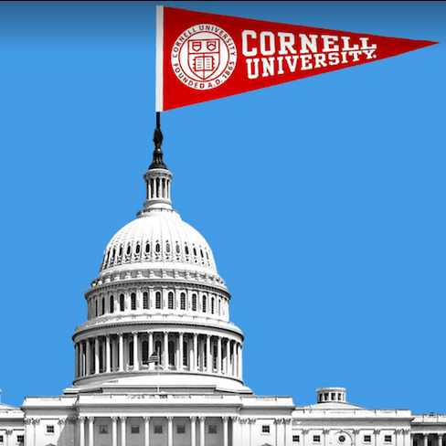 		Photo illustration of the U.S. Capital Building topped by a Cornell flag
	