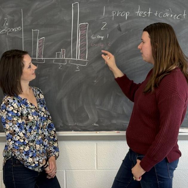 		Two people standing at a chalk board, talking about a graphic
	