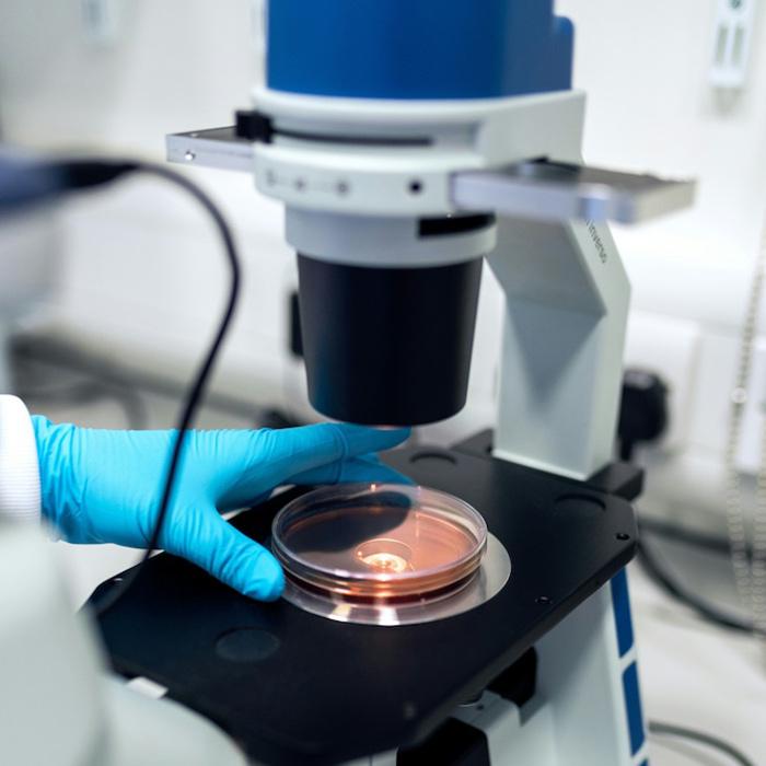 		Microscope with a dish on it; a blue-gloved hand reaches in
	