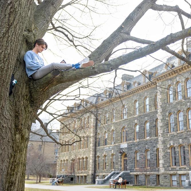 		Person sitting high in a tree, reading a book with a large college building in the background
	