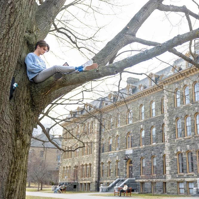 Person sitting high in a tree, reading a book with a large college building in the background