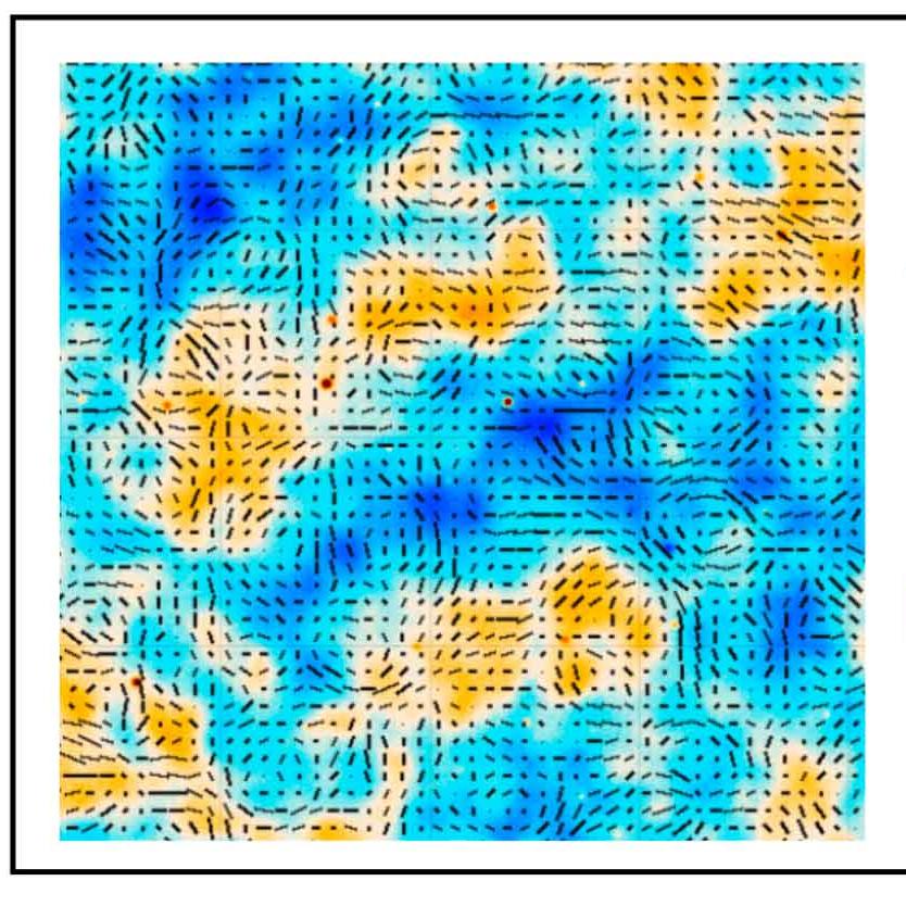 Patches of dark blue, turquoise and orange scattered on a grid of black broken lines, with an oxagonal and a star-shaped line drawing next to it.