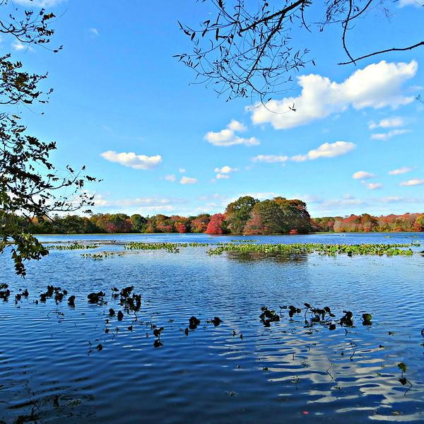 		Lake in autumn 
	