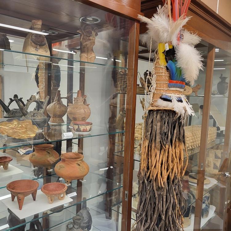 		Glass shelves in wooden cases holding pieces of pottery
	