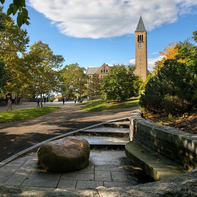 		A decorative boulder in a shady stone plaza, with Cornell's McGraw Tower in the background
	