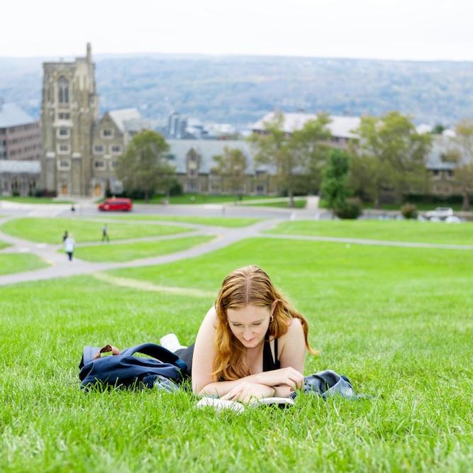 		Person reading a book in grass at the top of a hill
	