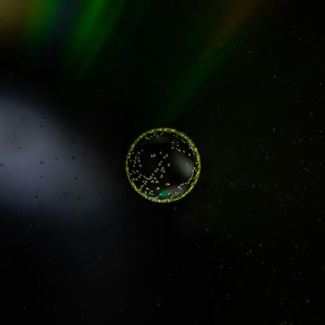 		Round formation (a cell), luminescent against a dark background
	