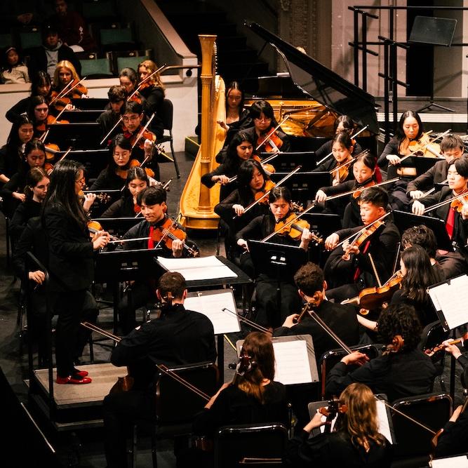 Members of an orchestra playing on a stage