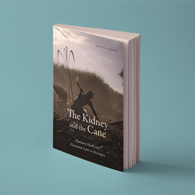 Book cover: The Kidney and the Cane