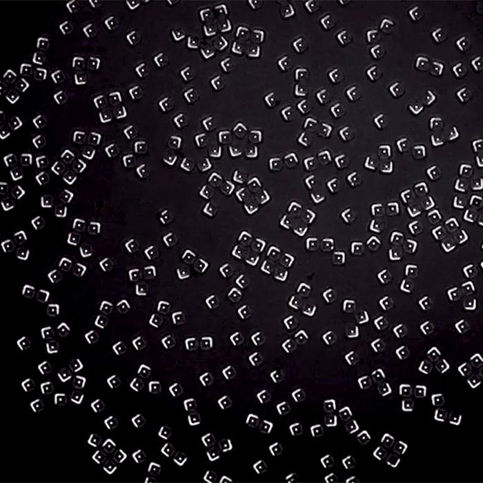 		Hundreds of white corner-shaped particles on a black background
	