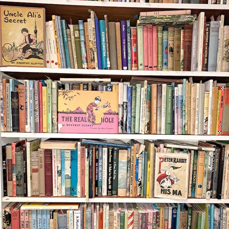 		Shelves of children's books
	