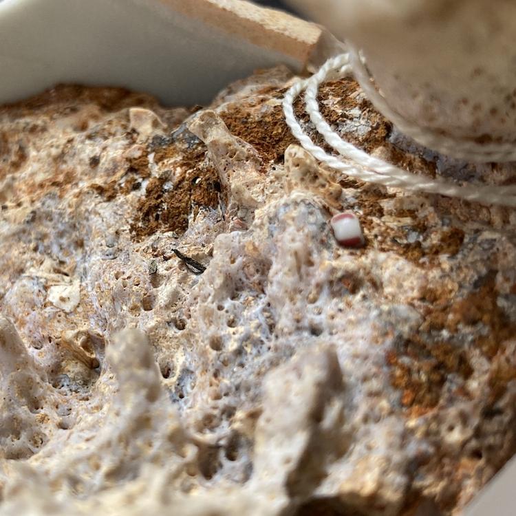 		Lumpy, tawny, textured surface with one smooth bead embedded in it
	