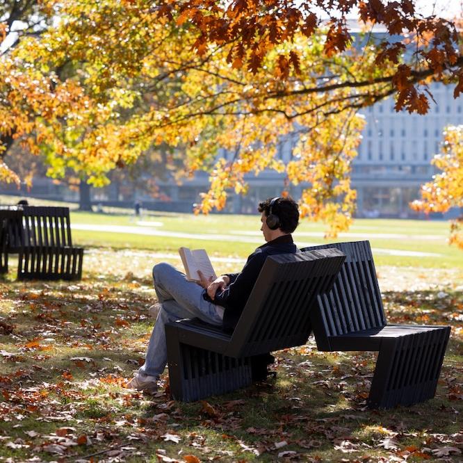 Person sitting on a bench, reading, surrounded by fall leaves on a college campus