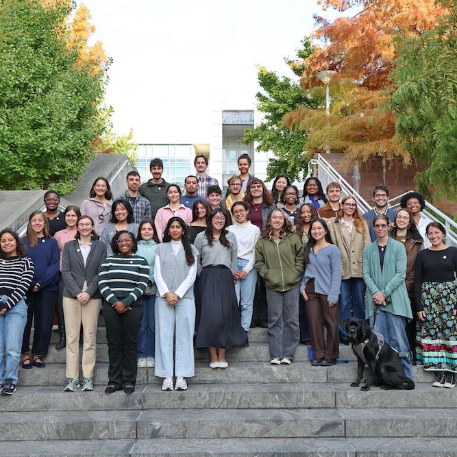 a few dozen people stand on an outdoor staircase