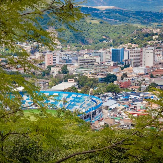 		A city seen from a high vantage point, through a foreground of trees
	