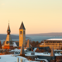 		Overlooking a college campus under a yellow sky at dawn
	