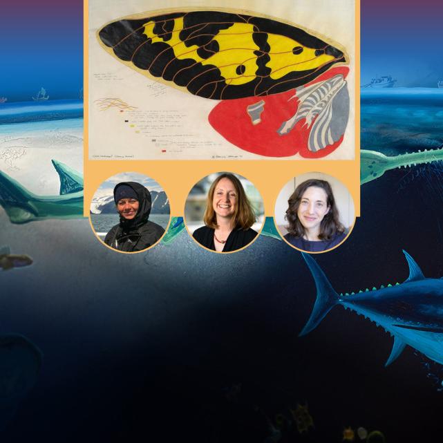 		Illustration of underwater scene with three faculty head shots superimposed on it
	