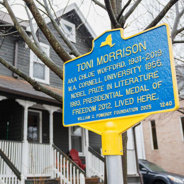Blue plaque with the title, "Toni Morrison" and a paragraph of text