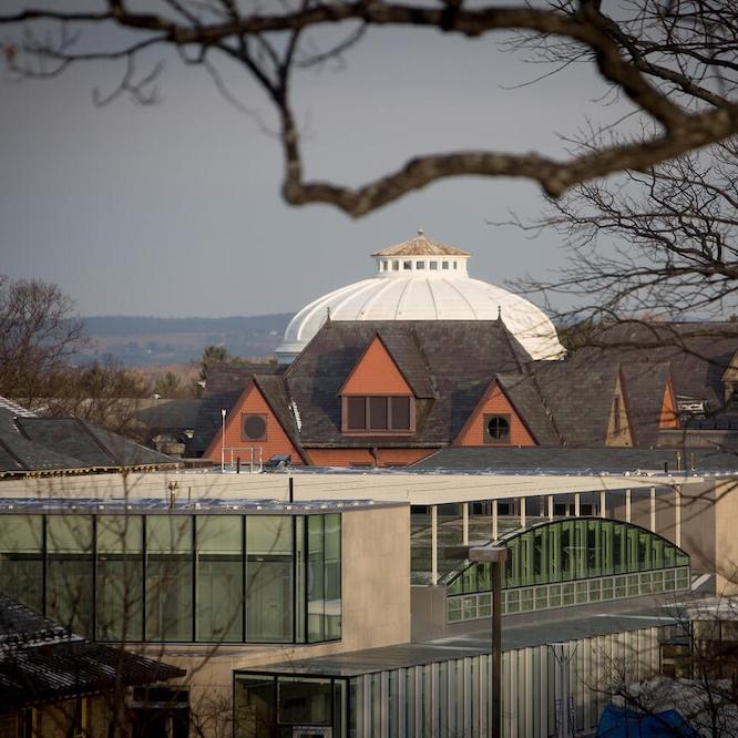 Three college campus buildings of various architectural types receed into the distance under a grey sky and a bare branch