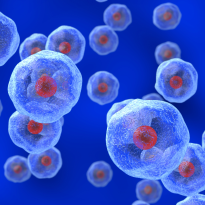 filmy, white globs with red dots in their centers float against a blue background