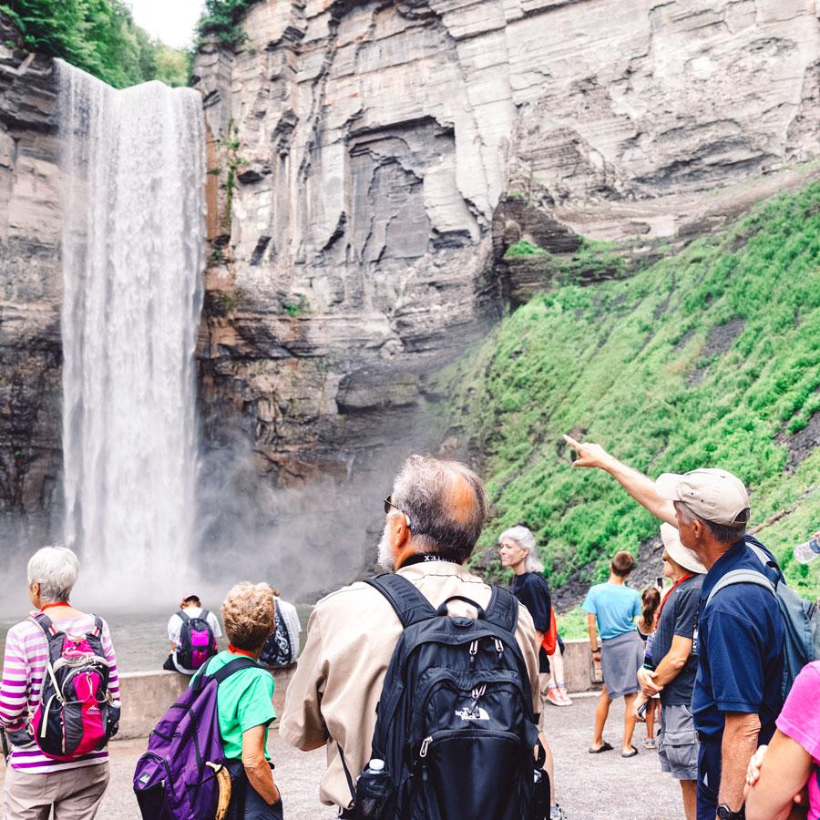 		People observing a waterfall 
	