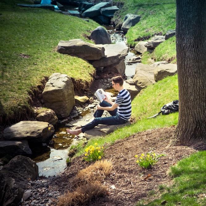 		Grassy glade with daffodils, a stream and a person wearing a striped shirt reading a book
	