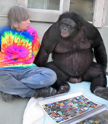 Bonobos Kanzi and Panbanisha with Sue Savage-Rumbaugh with the outdoor symbols &quot;keyboard.&quot;