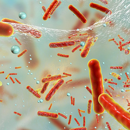		 Antibiotic resistant bacteria in film.
	