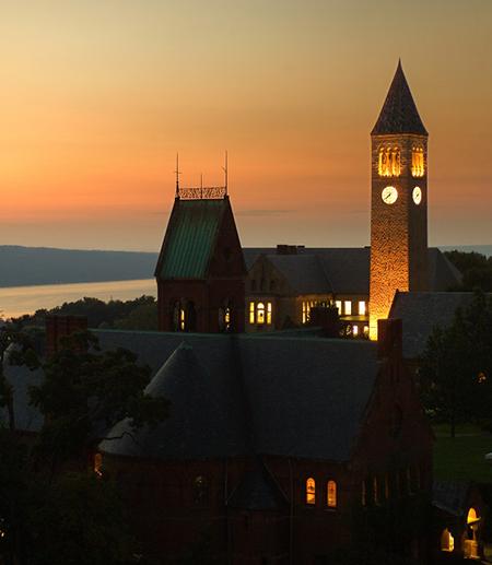 		 Central campus at dusk
	