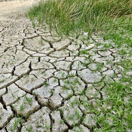 Dried up and cracking river bed