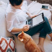 Person on a couch, working on a tablet, with cat