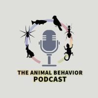 Animal Behavior Podcast logo