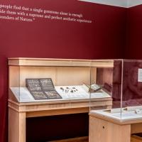 Museum display of a nude sculpture, cases of objects and a quote on the wall