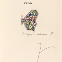 A sketch of a butterfly labeled, "To Véra"