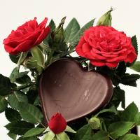  A heart shaped chocolate candy with two roses