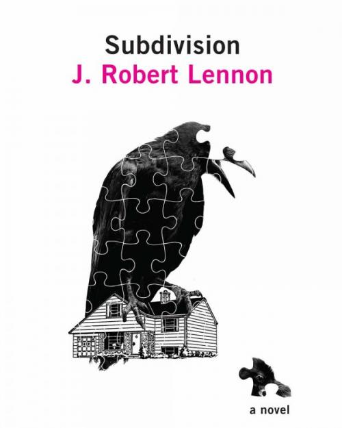 Book cover: Subdivision