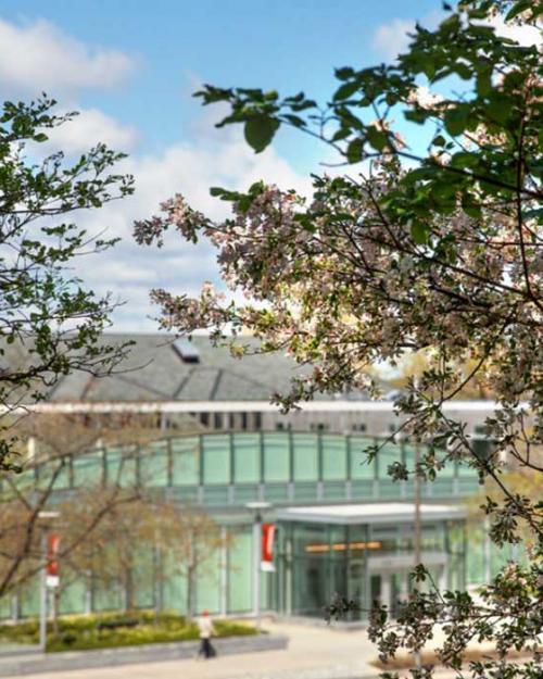 flowering trees frame a glass building