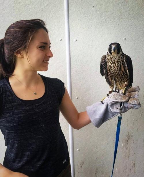 girl with hawk