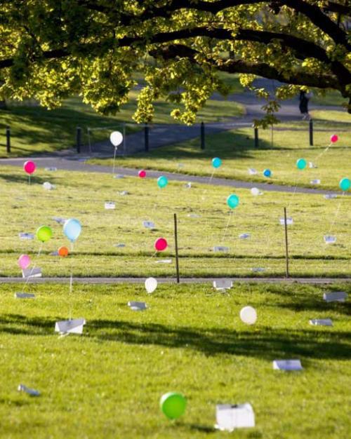tree, grass, and colored balloons