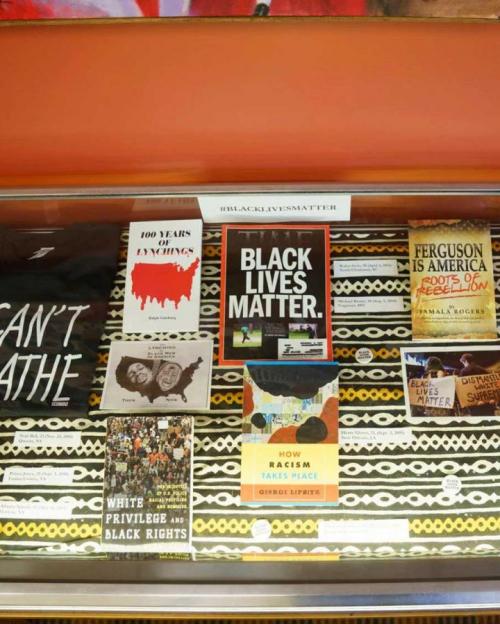 Books in a display case; colored cloth background