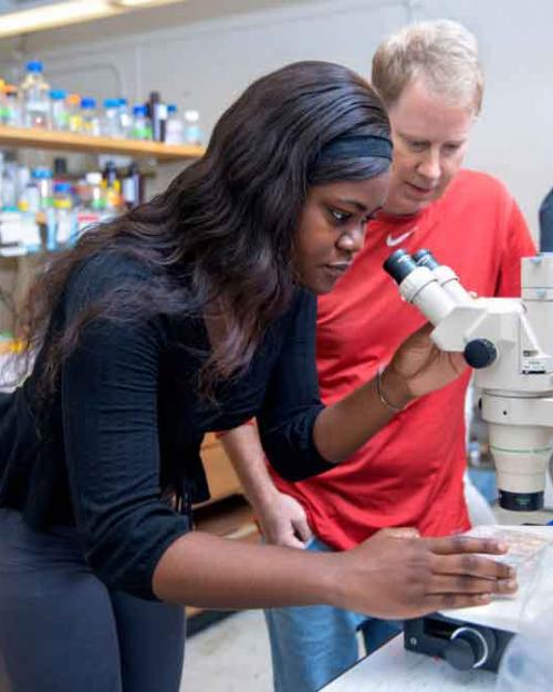 student working with microscope